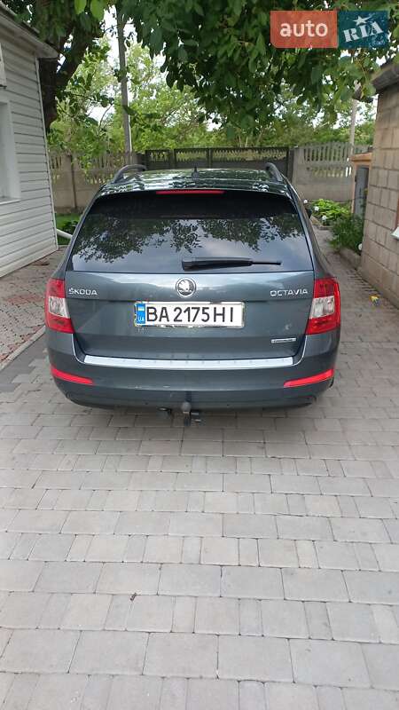 Универсал Skoda Octavia 2014 в Кропивницком