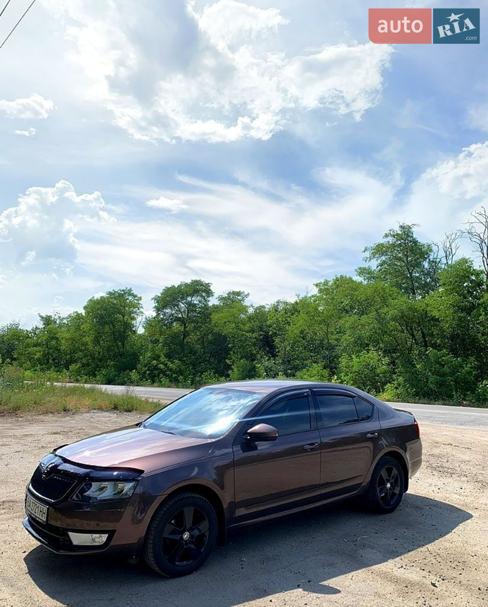 2015 Skoda Octavia - мініатюра 25