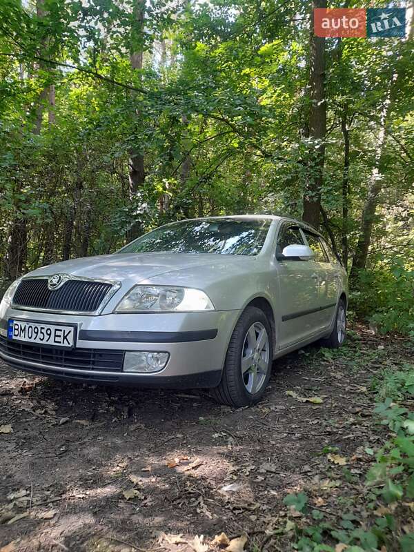 Универсал Skoda Octavia 2005 в Сумах