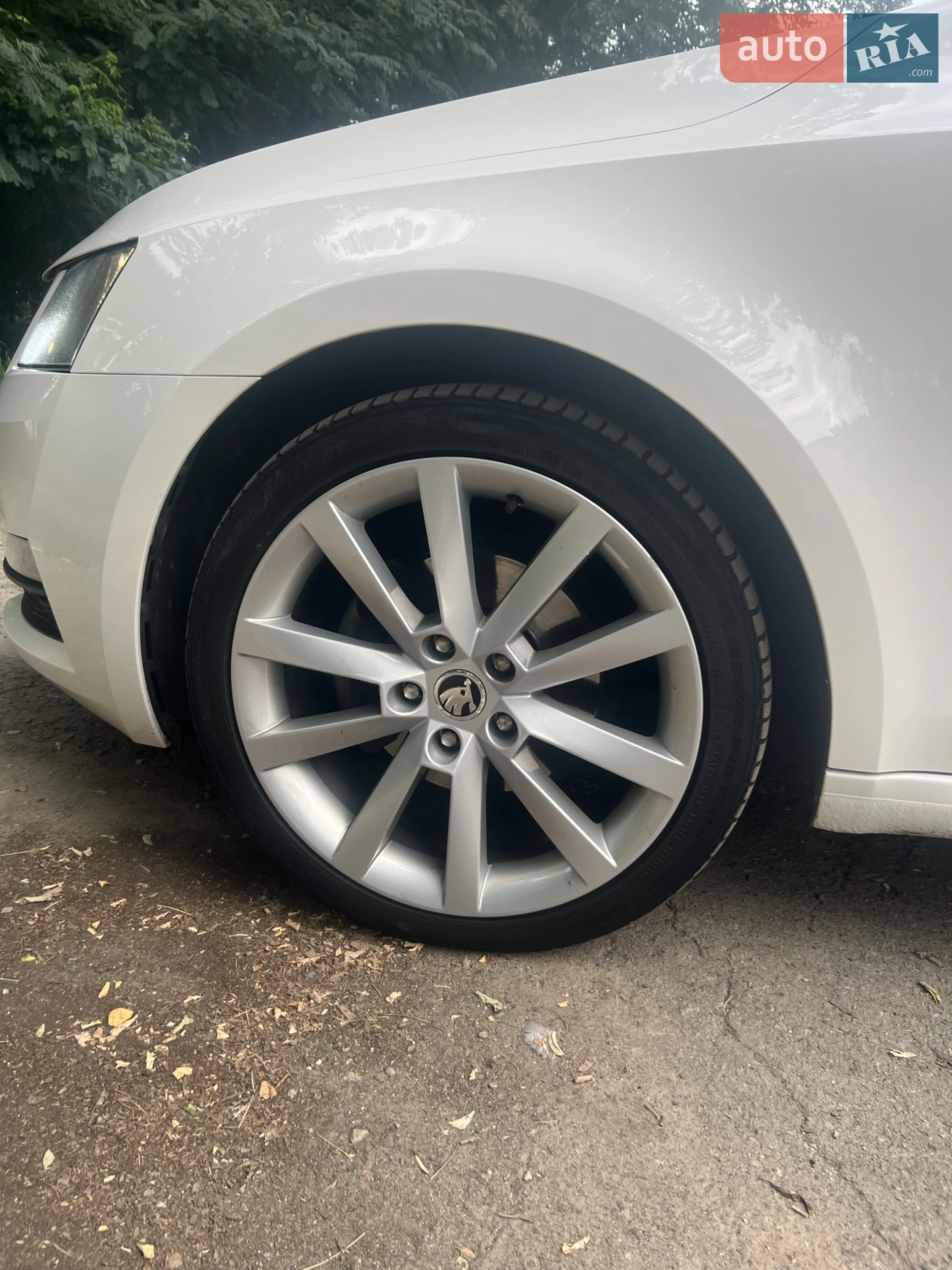 2017 Skoda Octavia - мініатюра 12