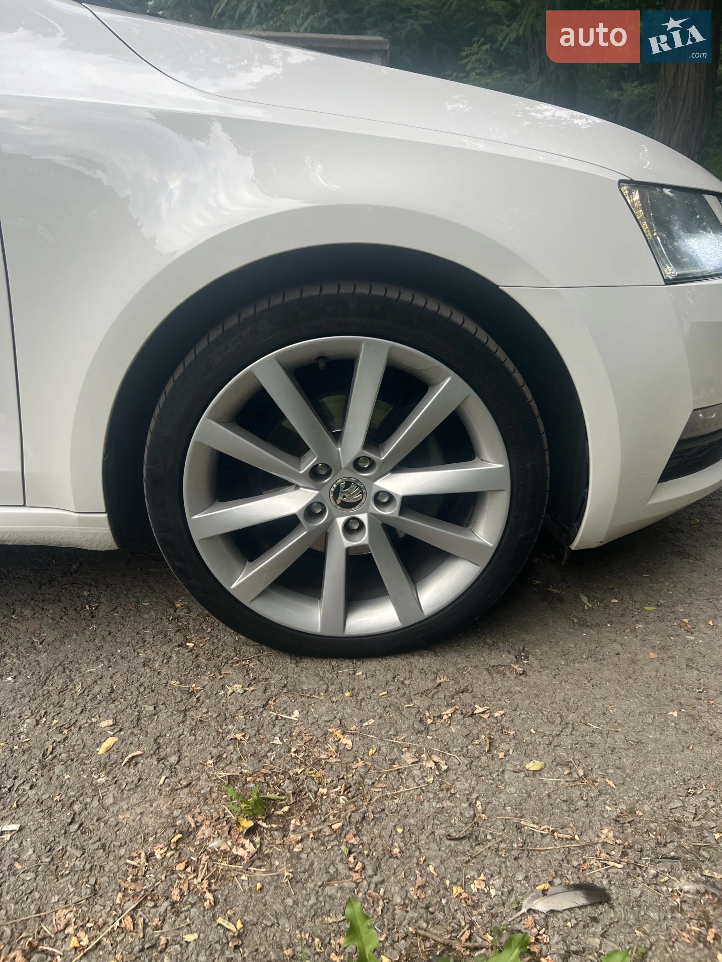 2017 Skoda Octavia - мініатюра 6