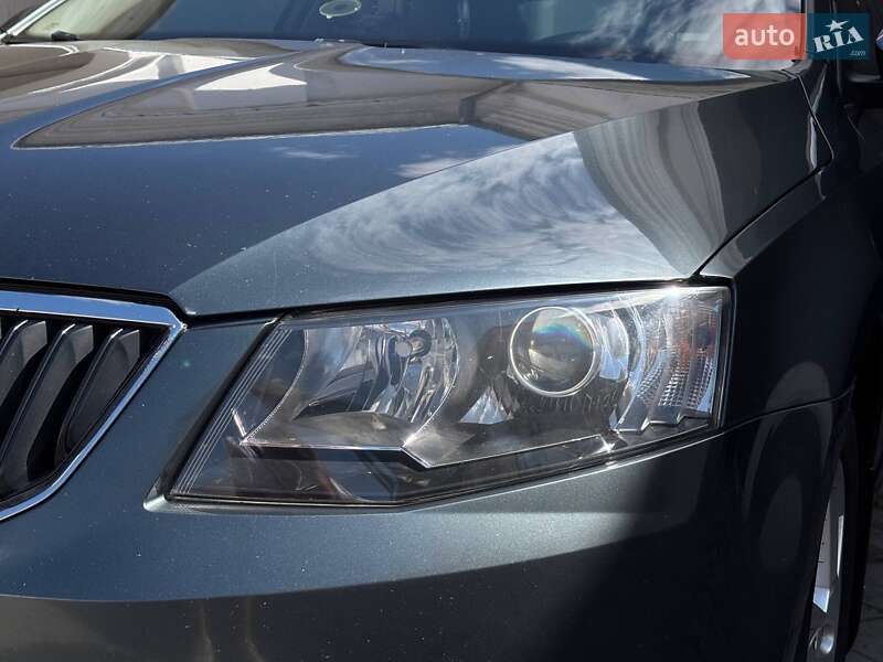 Лифтбек Skoda Octavia 2016 в Белой Церкви фото 44 Лифтбек Skoda Octavia 2016 в Белой Церкви