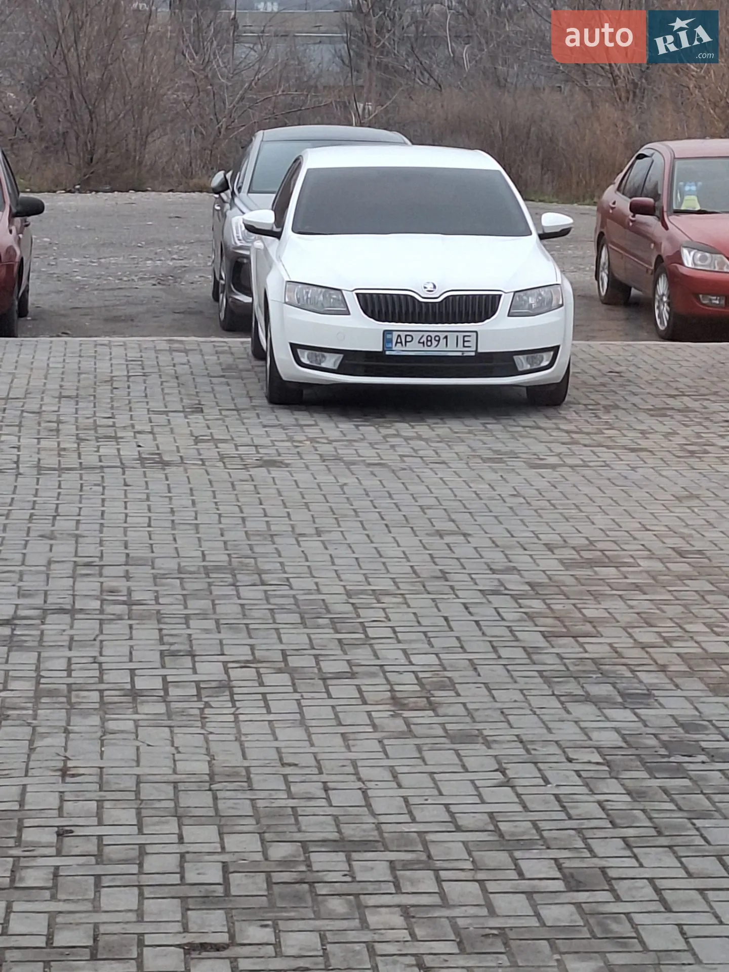 2013 Skoda Octavia - мініатюра 6