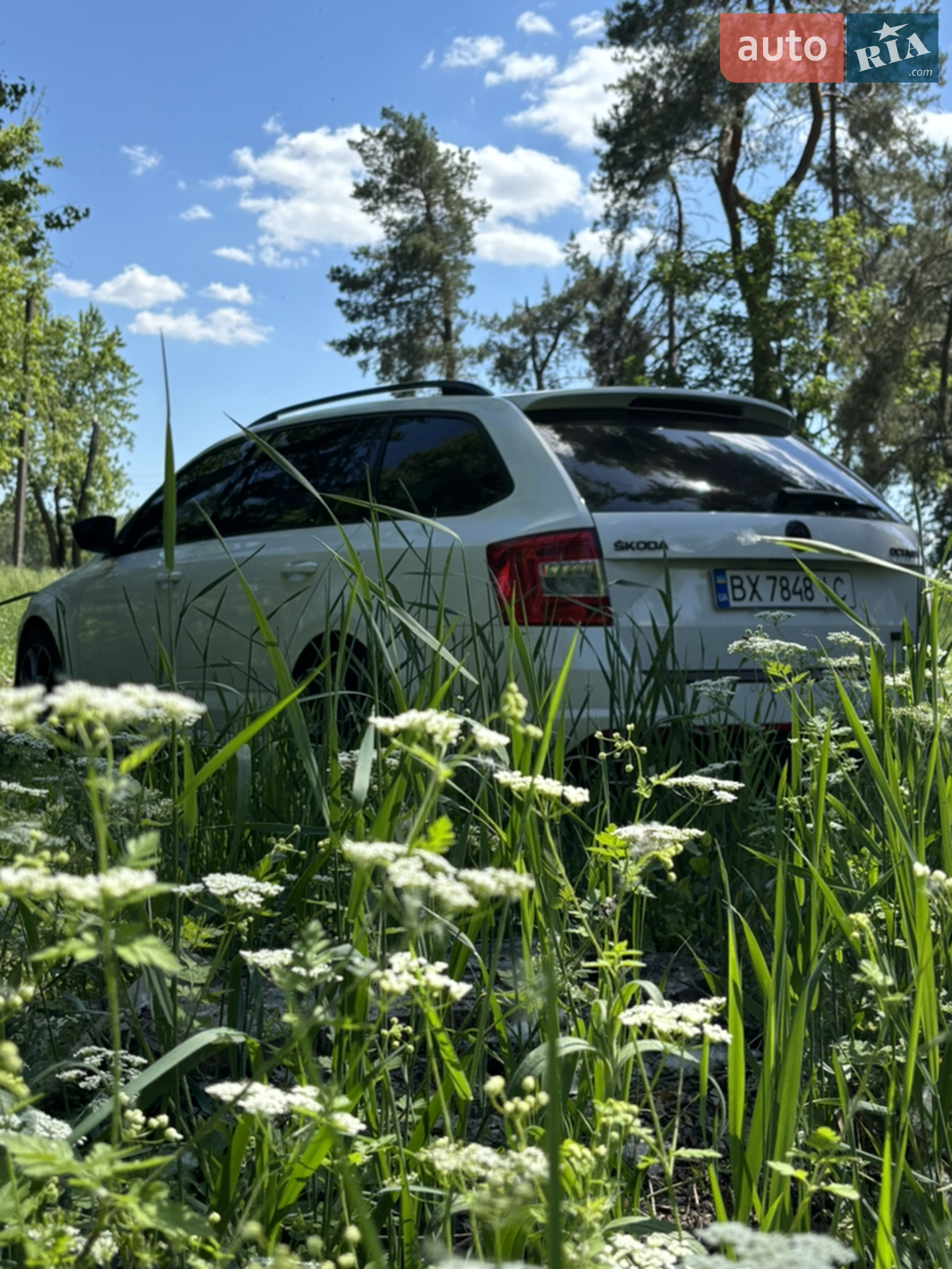 2015 Skoda Octavia - мініатюра 12