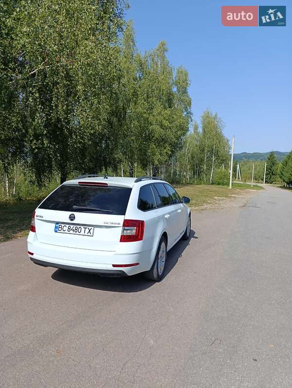 Универсал Skoda Octavia 2017 в Тячеве фото 21 Универсал Skoda Octavia 2017 в Тячеве