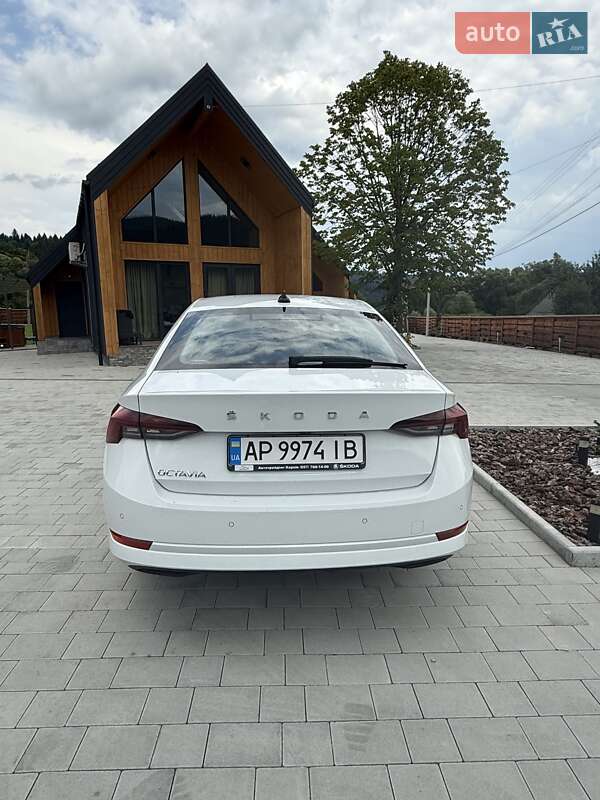 Ліфтбек Skoda Octavia 2023 в Києві фото 3 Ліфтбек Skoda Octavia 2023 в Києві