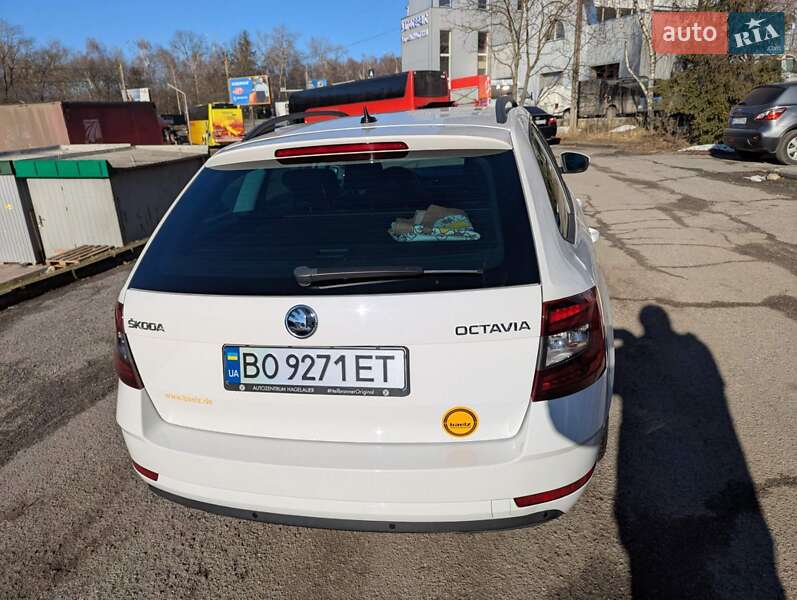 Универсал Skoda Octavia 2020 в Тернополе