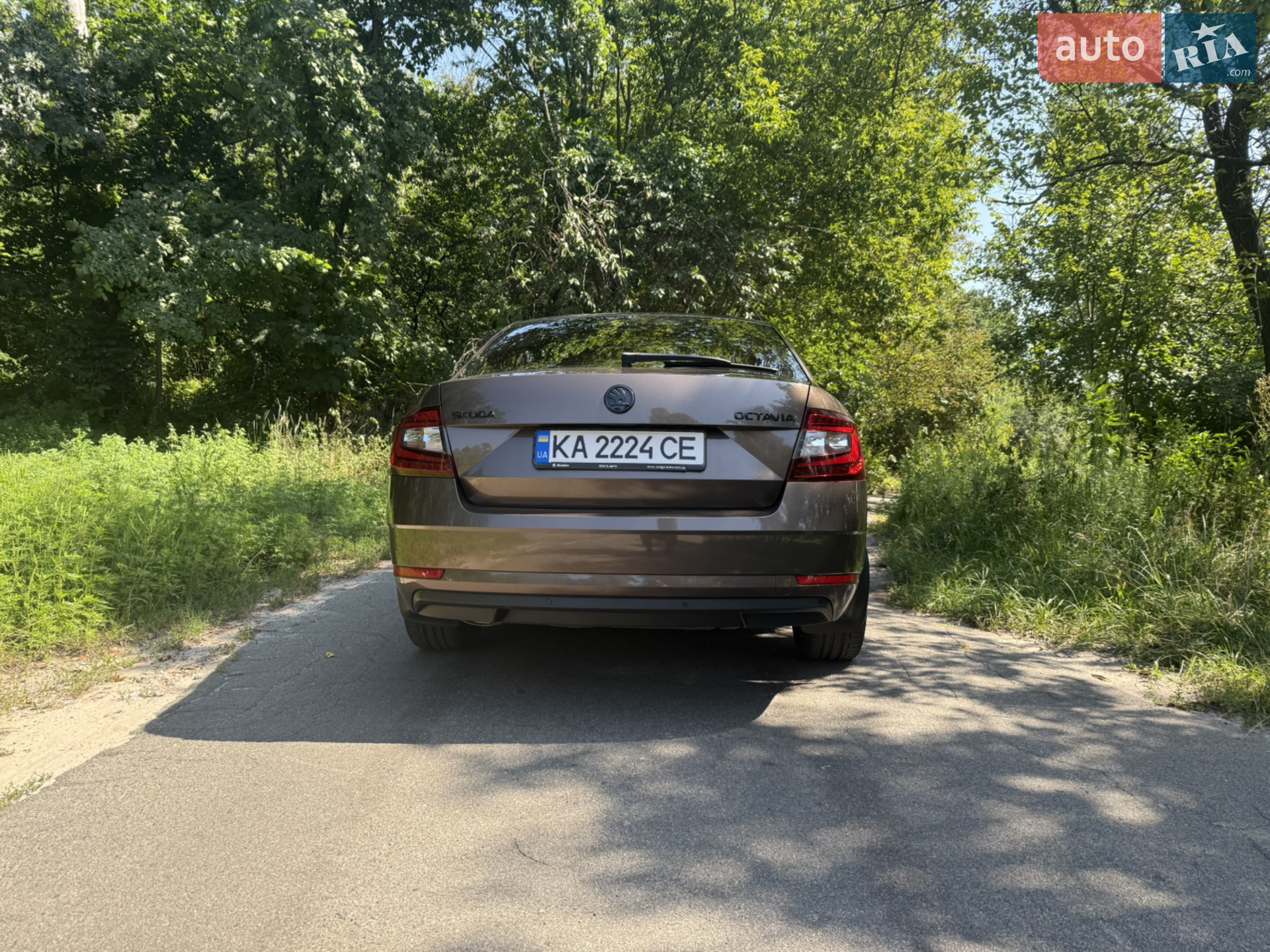 2018 Skoda Octavia - мініатюра 8