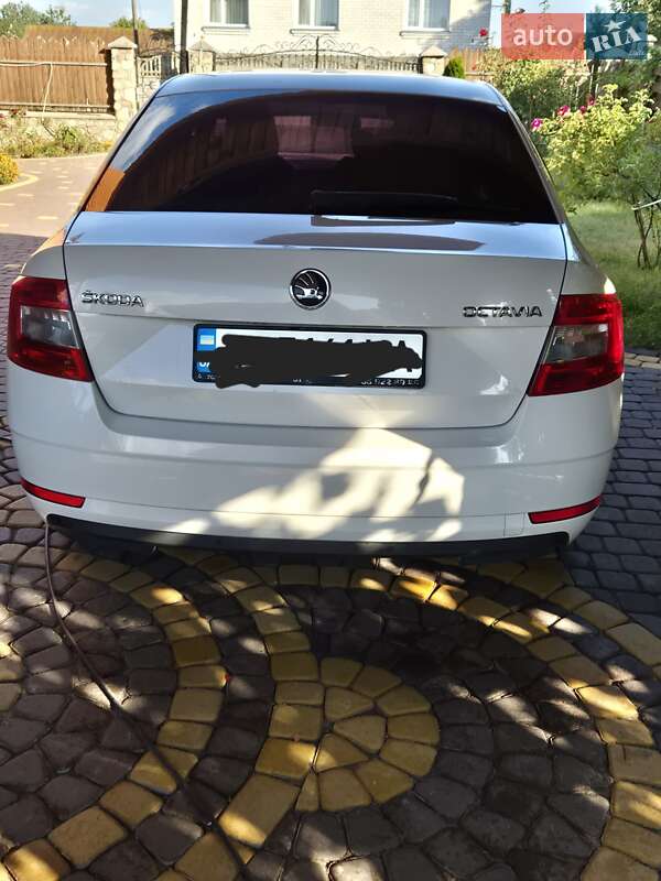 Ліфтбек Skoda Octavia 2017 в Луцьку фото 3 Ліфтбек Skoda Octavia 2017 в Луцьку