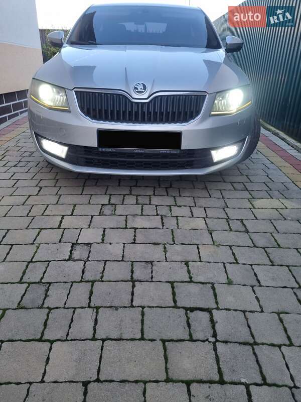 Skoda Octavia 2013 Skoda Octavia 2013