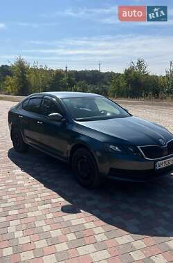 Ліфтбек Skoda Octavia 2019 в Попільні