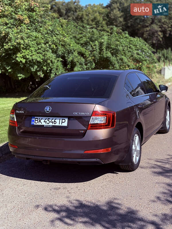 Лифтбек Skoda Octavia 2013 в Ровно фото 3 Лифтбек Skoda Octavia 2013 в Ровно