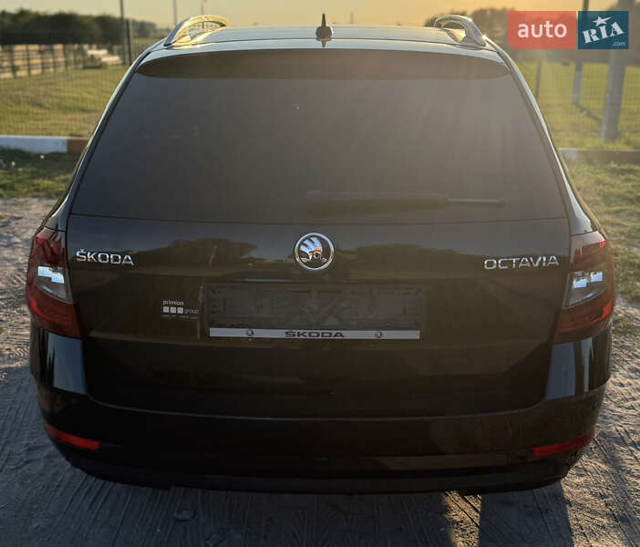 Універсал Skoda Octavia 2020 в Василькові фото 25 Універсал Skoda Octavia 2020 в Василькові