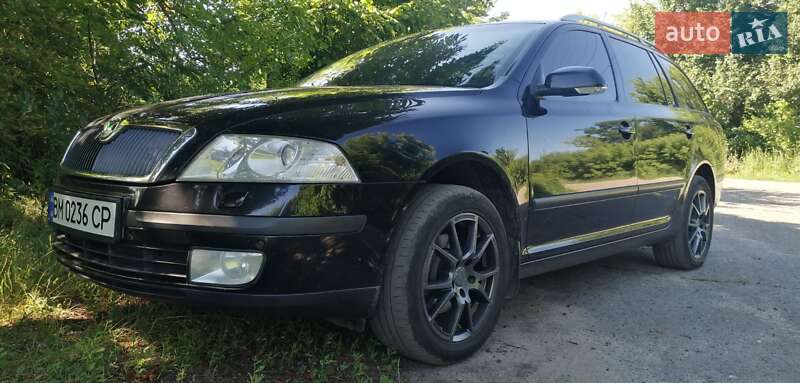 Универсал Skoda Octavia 2008 в Ахтырке