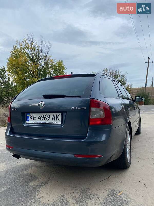 Универсал Skoda Octavia 2010 в Кривом Роге