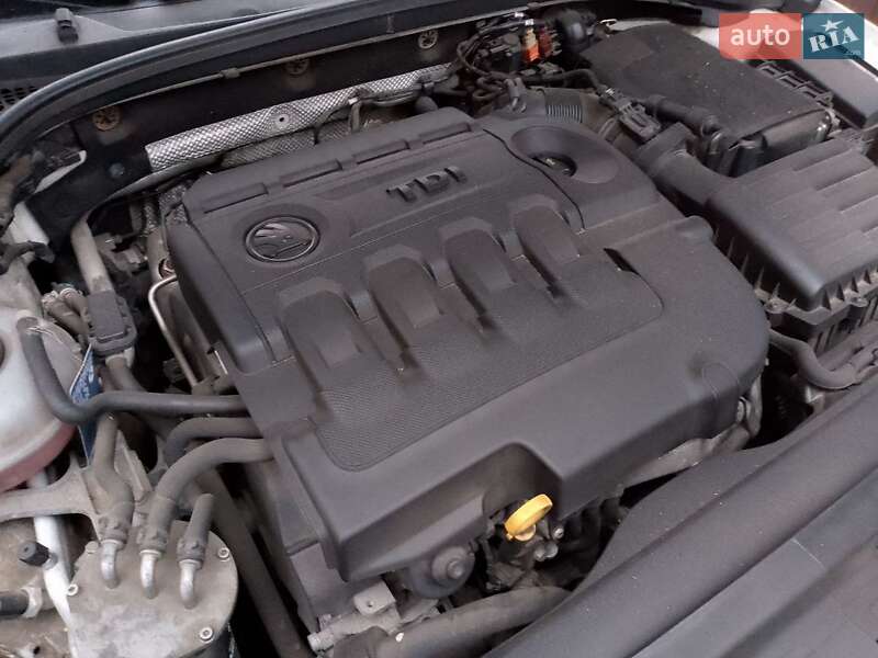 Універсал Skoda Octavia 2014 в Житомирі