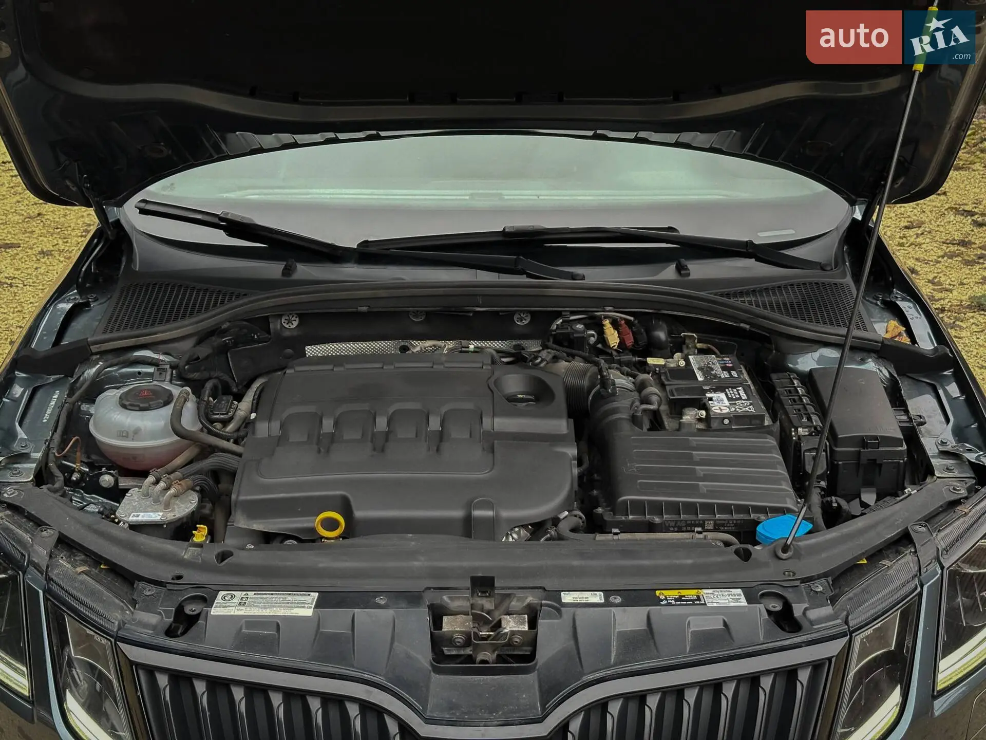 2019 Skoda Octavia - мініатюра 121