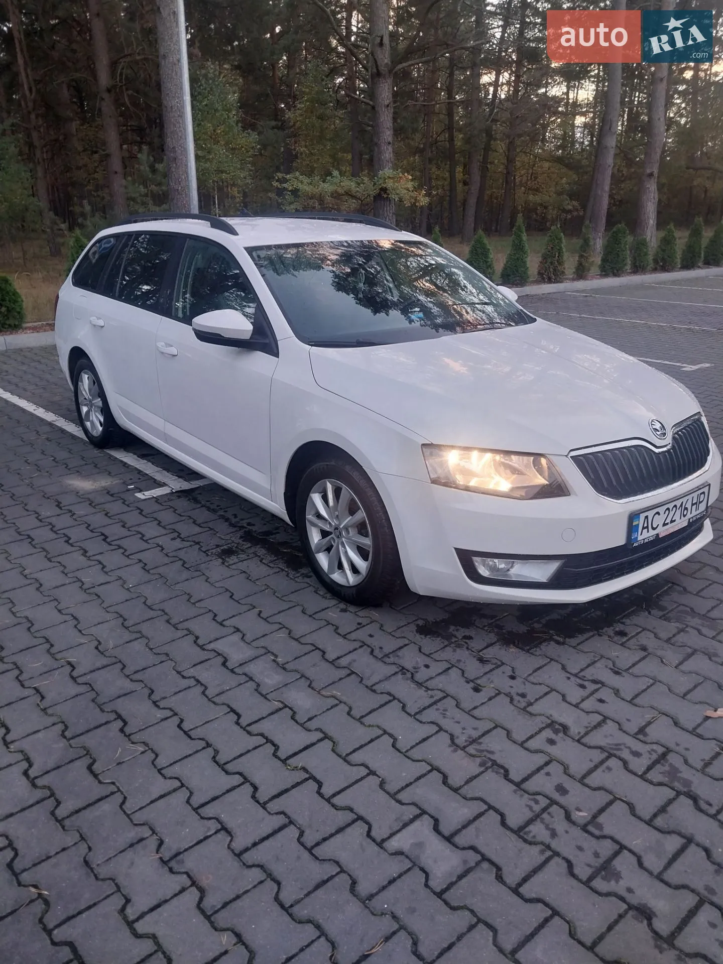 2015 Skoda Octavia - мініатюра 3
