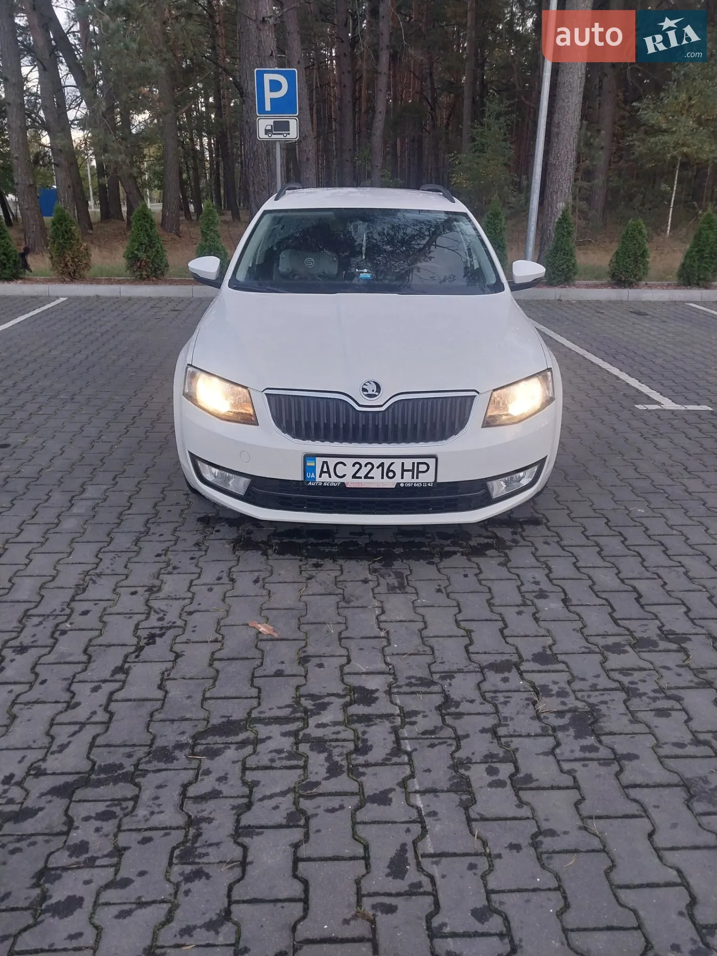 2015 Skoda Octavia - мініатюра 8