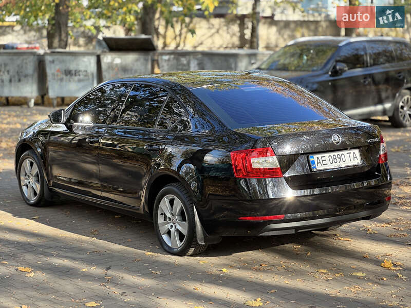 Лифтбек Skoda Octavia 2019 в Днепре фото 10 Лифтбек Skoda Octavia 2019 в Днепре