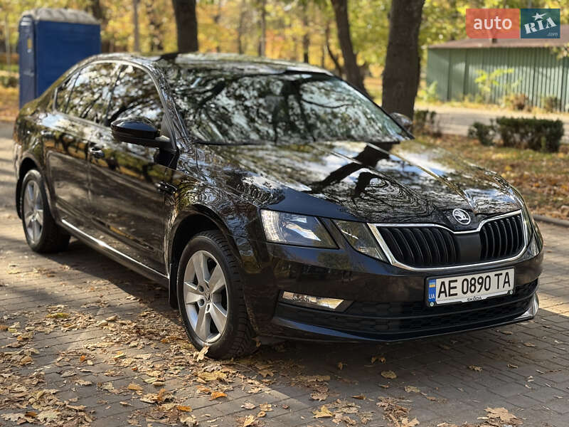 Лифтбек Skoda Octavia 2019 в Днепре фото 14 Лифтбек Skoda Octavia 2019 в Днепре