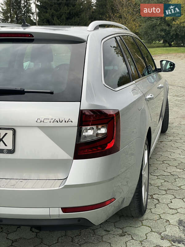 Универсал Skoda Octavia 2019 в Дубно