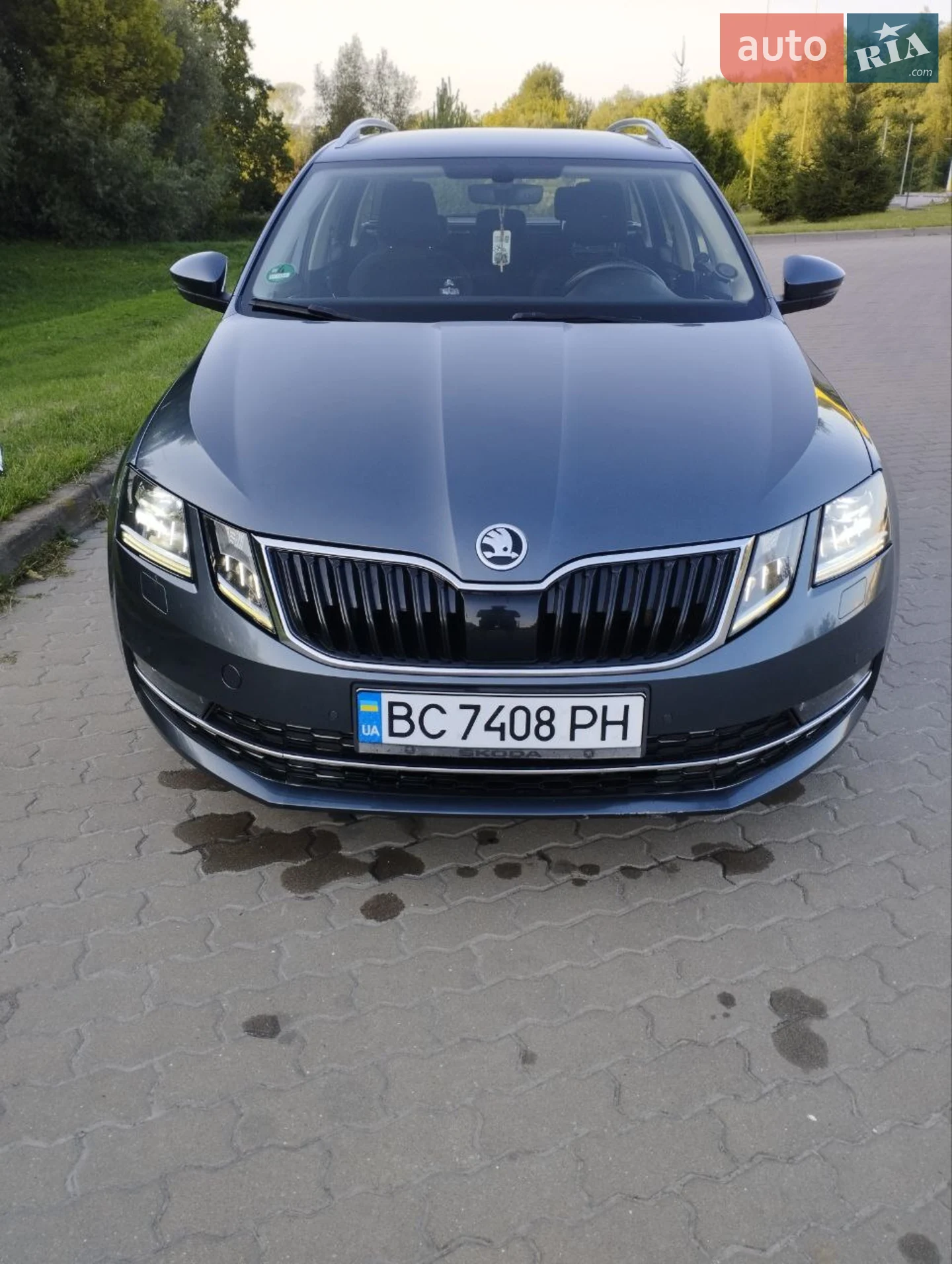 2017 Skoda Octavia - мініатюра 47