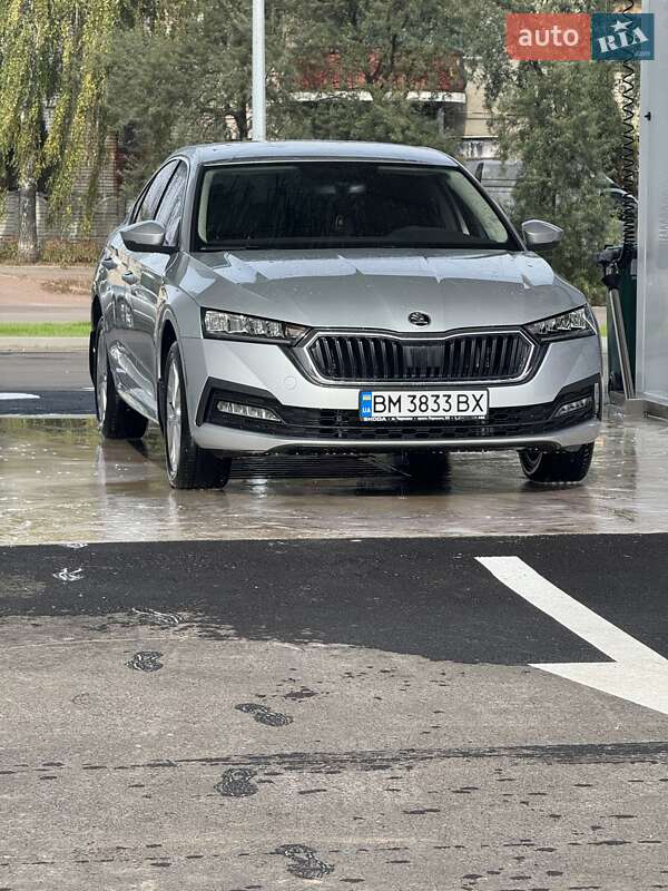 Лифтбек Skoda Octavia 2022 в Шостке фото 2 Лифтбек Skoda Octavia 2022 в Шостке