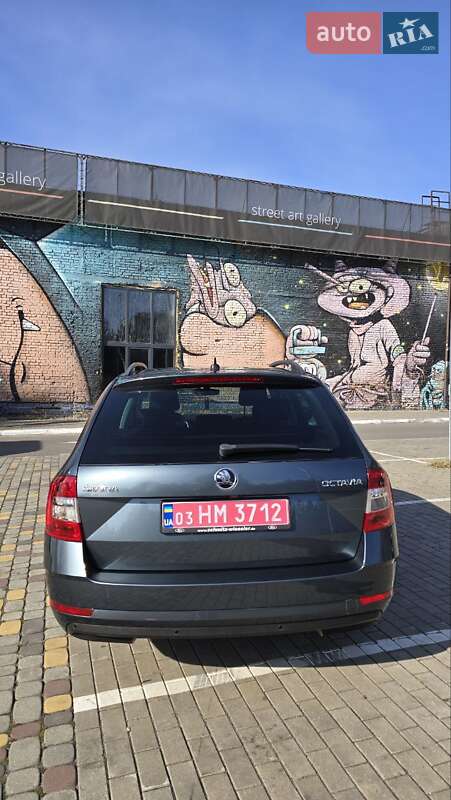 Универсал Skoda Octavia 2019 в Луцке фото 11 Универсал Skoda Octavia 2019 в Луцке