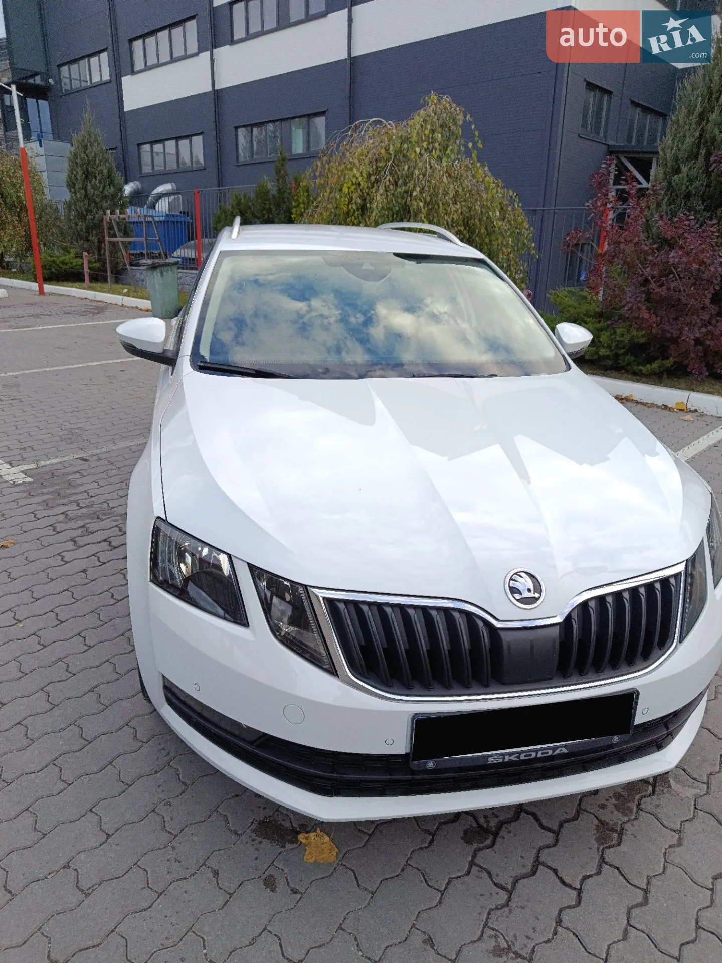 2017 Skoda Octavia - мініатюра 2