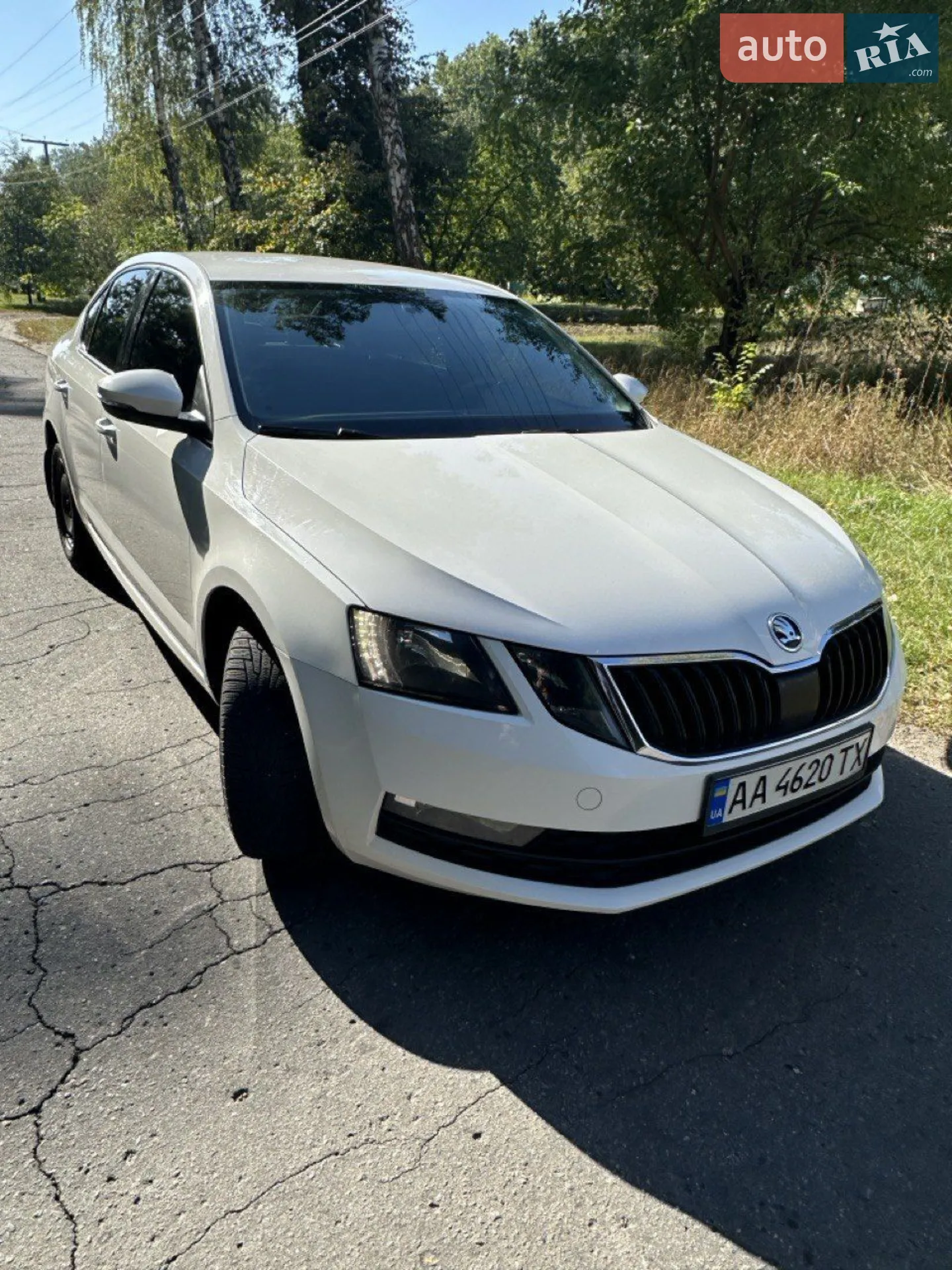 2018 Skoda Octavia - мініатюра 2