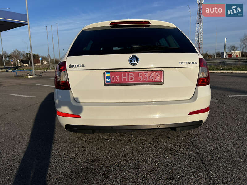 Универсал Skoda Octavia 2016 в Радивилове фото 6 Универсал Skoda Octavia 2016 в Радивилове