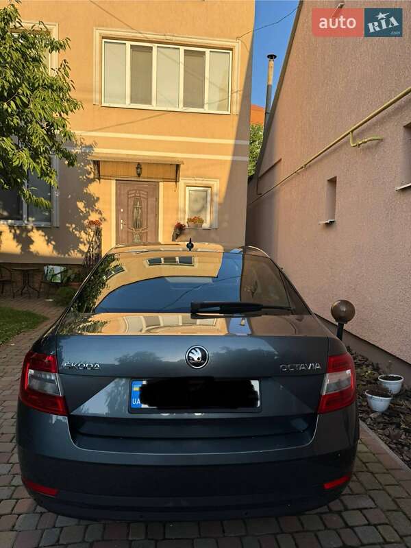 Лифтбек Skoda Octavia 2017 в Ужгороде фото 3 Лифтбек Skoda Octavia 2017 в Ужгороде
