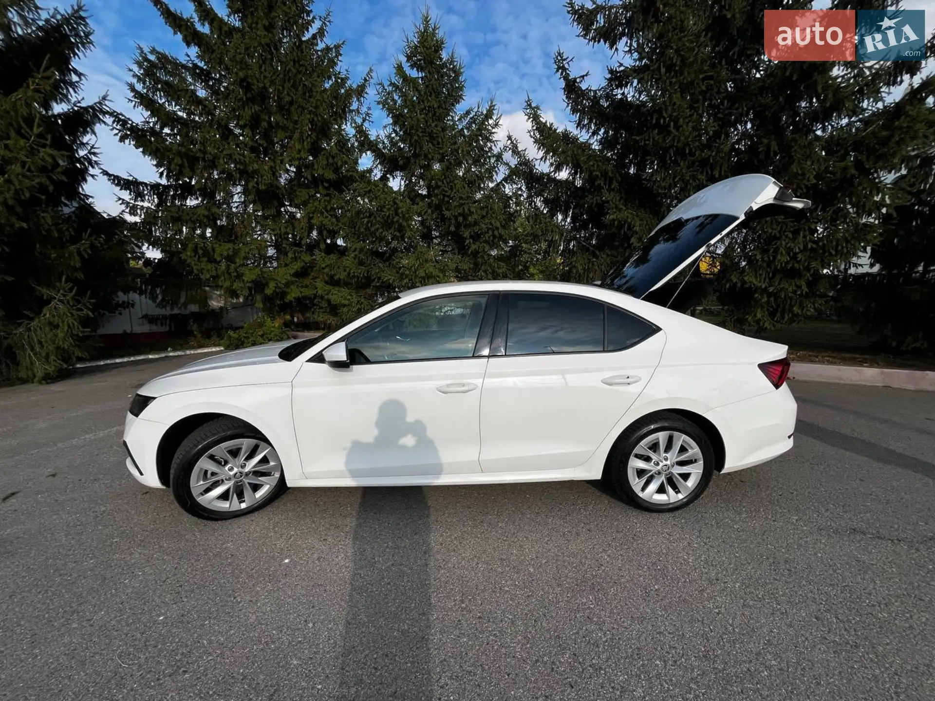 2021 Skoda Octavia - мініатюра 8