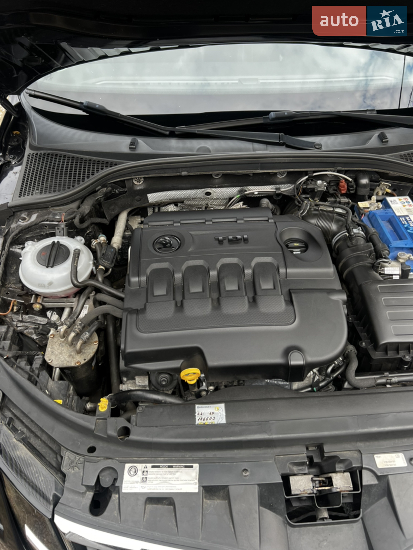 2017 Skoda Octavia - мініатюра 34