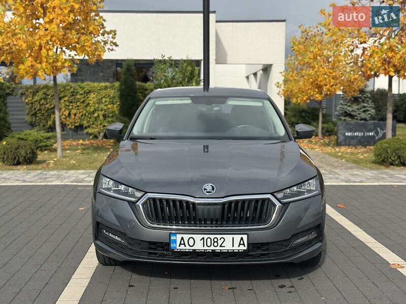 Лифтбек Skoda Octavia 2023 в Мукачево фото 2 Лифтбек Skoda Octavia 2023 в Мукачево