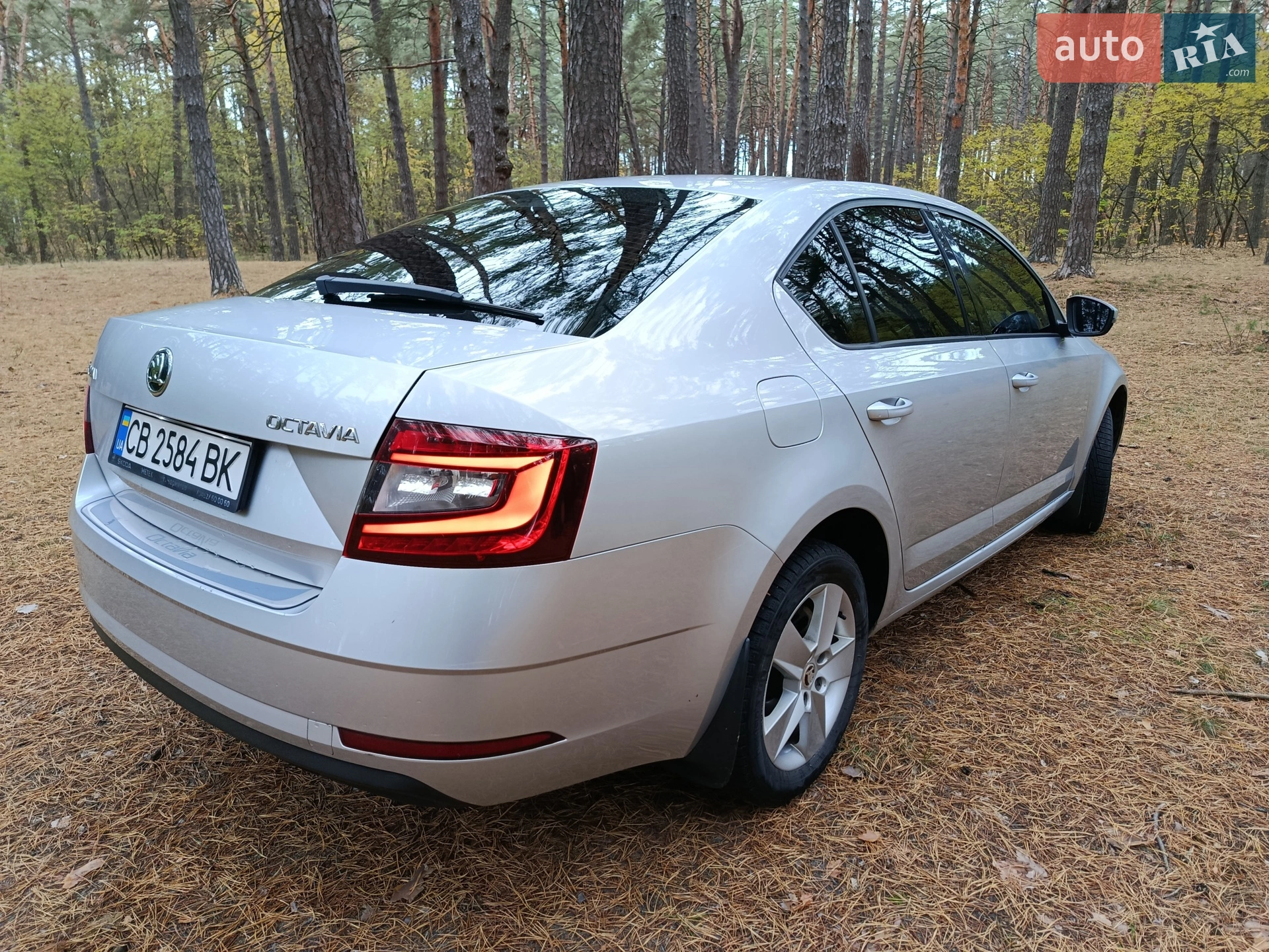 2017 Skoda Octavia - мініатюра 3