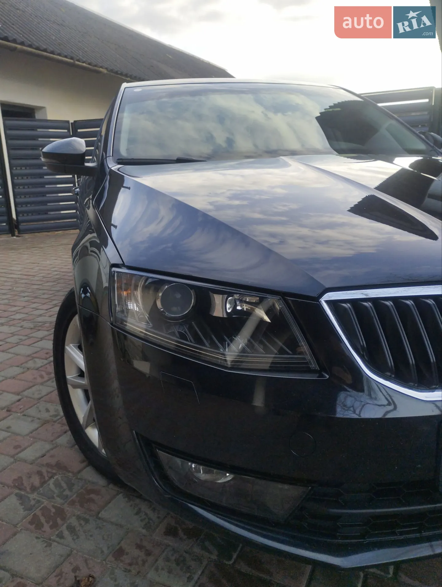 2016 Skoda Octavia - мініатюра 46
