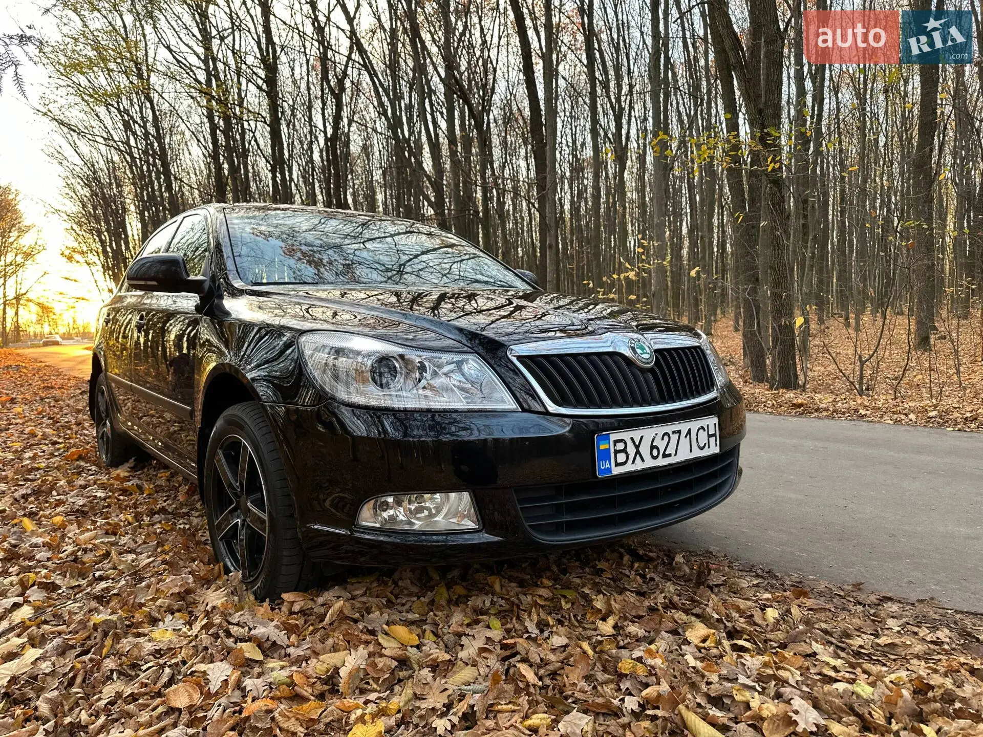 2012 Skoda Octavia - фото 1