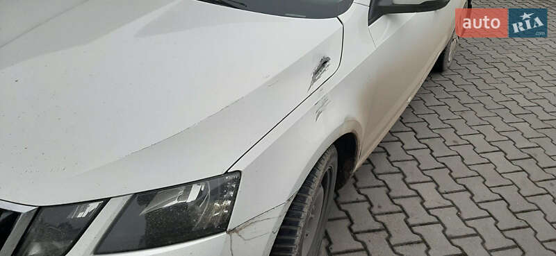 Универсал Skoda Octavia 2019 в Киеве фото 22 Универсал Skoda Octavia 2019 в Киеве