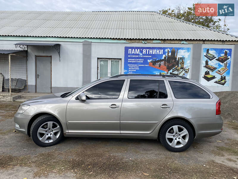 Универсал Skoda Octavia 2010 в Вознесенске