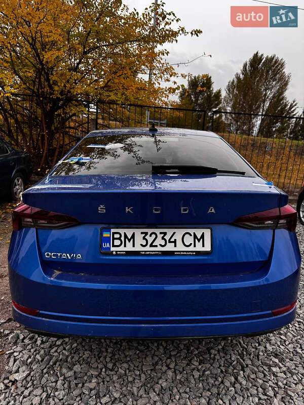 Лифтбек Skoda Octavia 2020 в Киеве фото 10 Лифтбек Skoda Octavia 2020 в Киеве