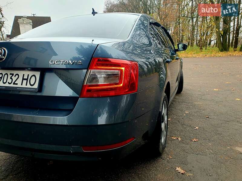 Ліфтбек Skoda Octavia 2019 в Житомирі