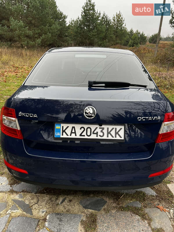 Лифтбек Skoda Octavia 2016 в Киеве фото 10 Лифтбек Skoda Octavia 2016 в Киеве