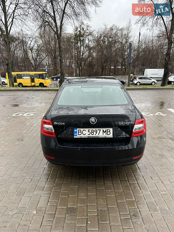 Лифтбек Skoda Octavia 2018 в Львове фото 9 Лифтбек Skoda Octavia 2018 в Львове