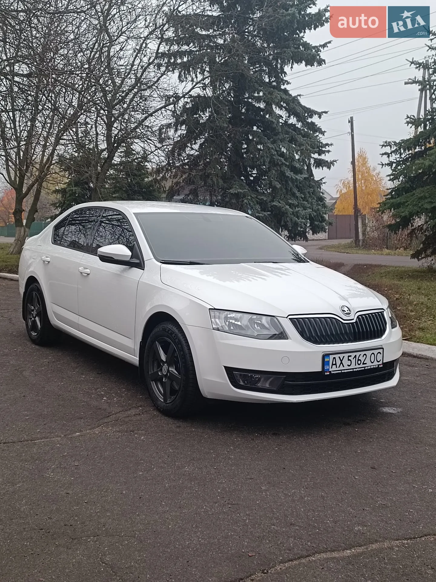 2013 Skoda Octavia - фото 1