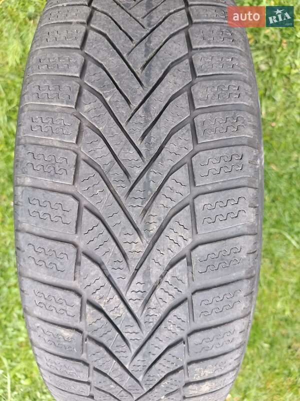 Универсал Skoda Octavia 2016 в Рава-Русской