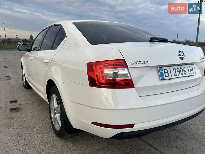 Ліфтбек Skoda Octavia 2019 в Полтаві фото 21 Ліфтбек Skoda Octavia 2019 в Полтаві