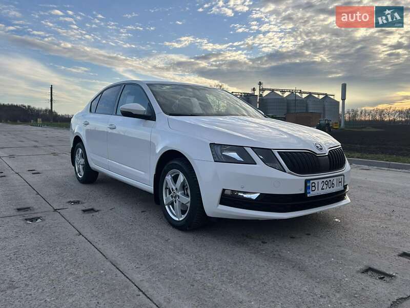 Ліфтбек Skoda Octavia 2019 в Полтаві фото 24 Ліфтбек Skoda Octavia 2019 в Полтаві