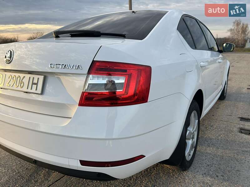 Ліфтбек Skoda Octavia 2019 в Полтаві фото 35 Ліфтбек Skoda Octavia 2019 в Полтаві